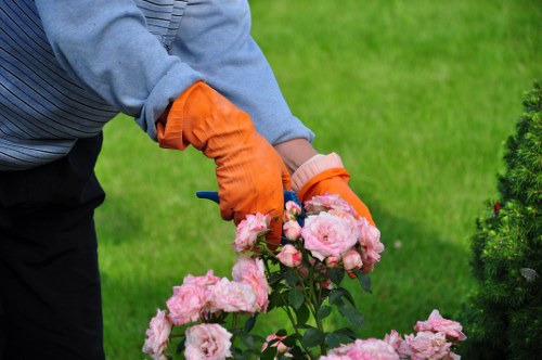 Supervisor conducting a site-specific risk assessment at a residential garden
